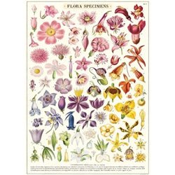 Cavallini Flora Specimens School Chart - The Perfect Pair