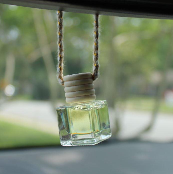 Cranberry Woods Car Diffuser - The Perfect Pair