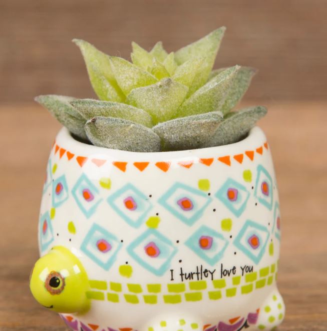 Natural Life Tiny Faux Succulents - Turtle - The Perfect Pair