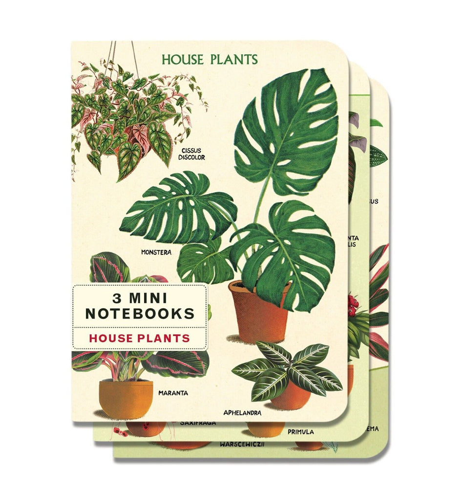 Cavallini House Plants Small Notebook With Elastic Closure - The Perfect Pair  - [boutique]