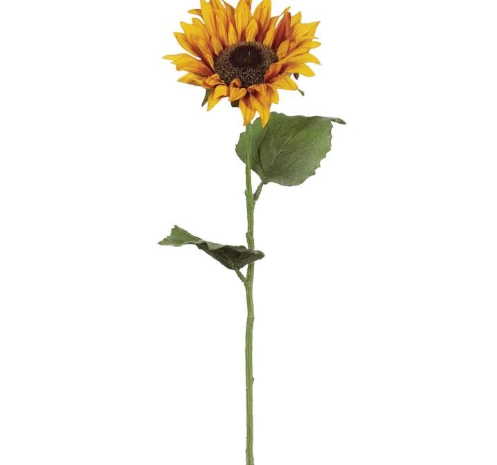 Sullivan's Sunflower Stem - The Perfect Pair