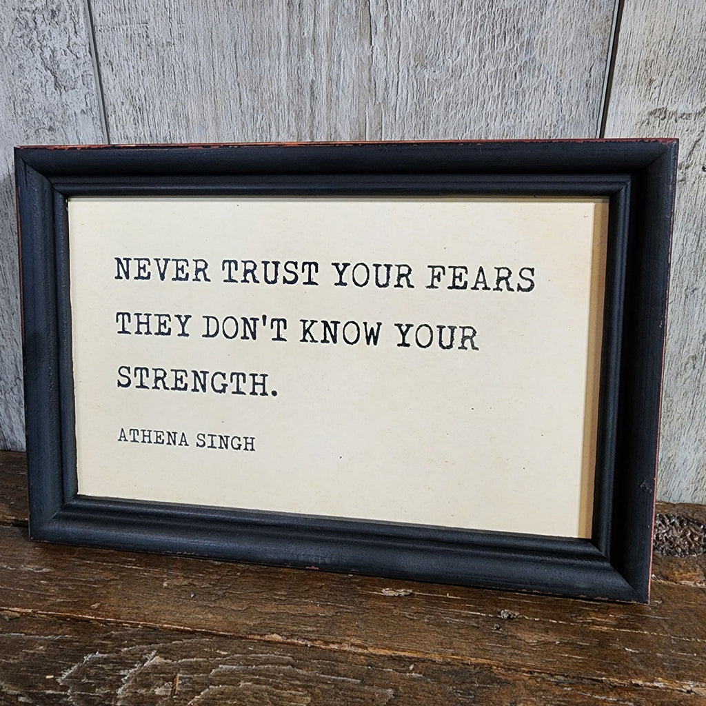 Creative Co-op Wood Framed Wall Decor with Saying "Never Trust" - The Perfect Pair  - [boutique]