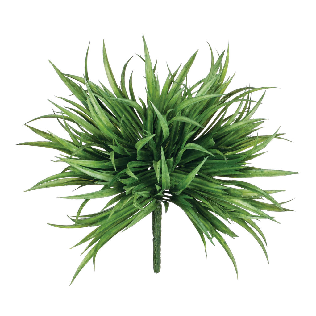 Sullivans Mini Grass Bush - The Perfect Pair  - [boutique]