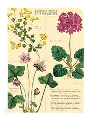 Cavallini Herbarium Mini Notebook - The Perfect Pair  - [boutique]
